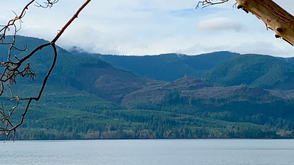 Vancouver Island image inspiration for script